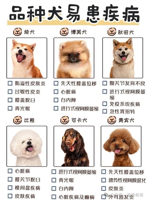 什么宠物狗最容易生病