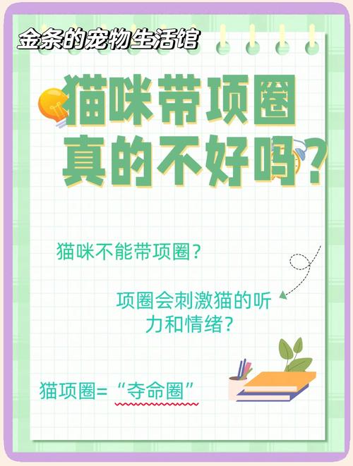 宠物医生建议:不要给猫咪戴项圈,可能会害死猫!