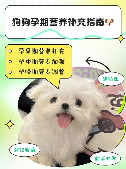 狗吃维生素e能促进排卵