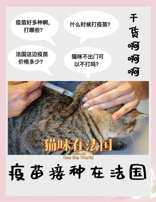 猫的疫苗在哪打