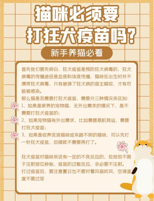 给猫咪打疫苗,能去宠物店吗?