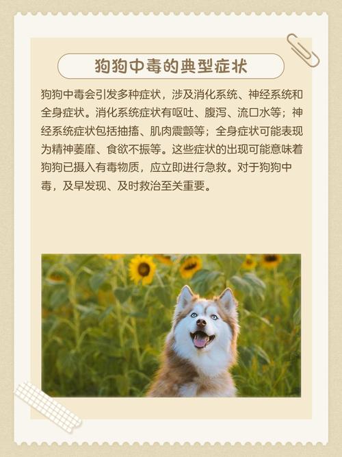 狗狗杀虫剂中毒后会出现什么症状?