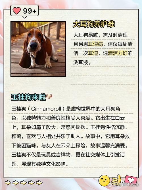 大耳朵、短腿、短毛的狗狗都有哪些?