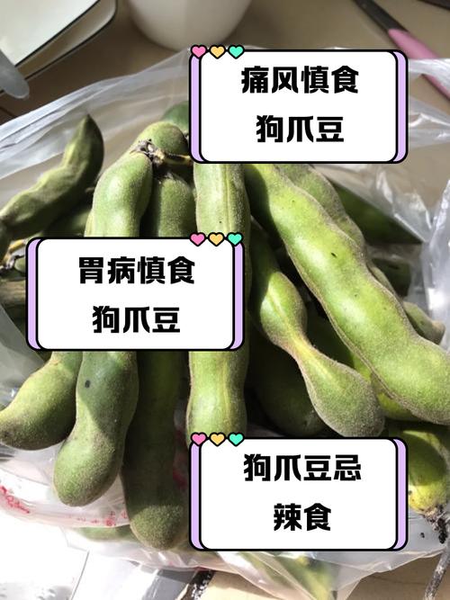 狗狗能不能吃毛豆