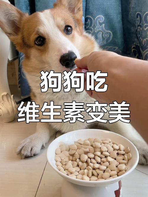 狗狗可以吃毛豆吗