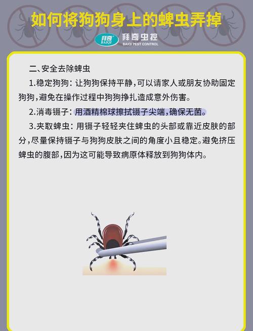 为什么狗狗不出门会有蜱虫
