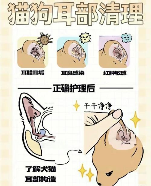 狗狗耳朵多久清理一次