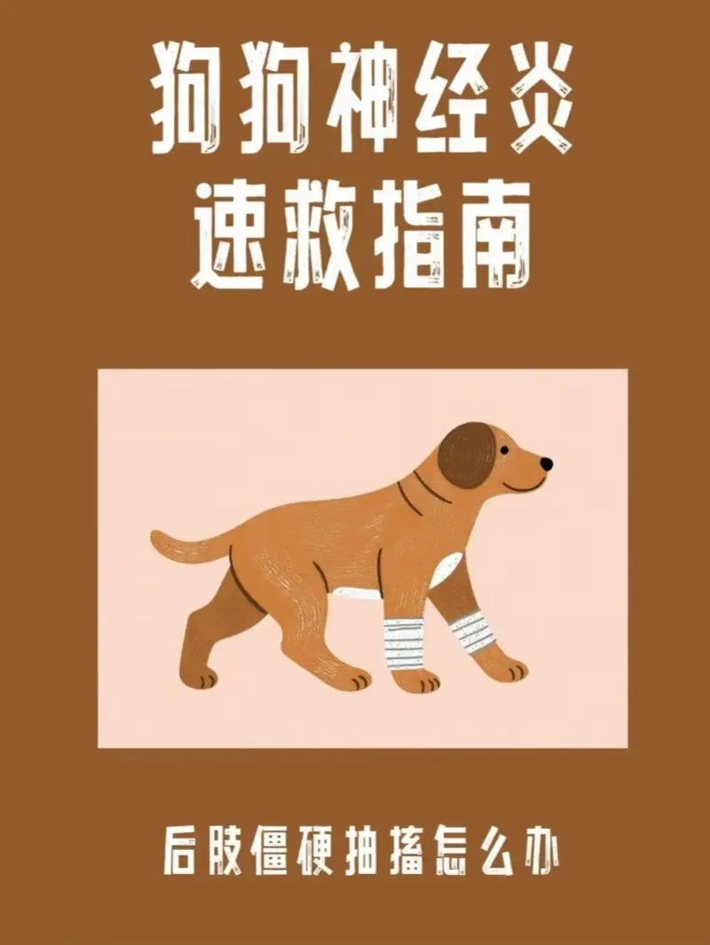 狗狗神经抽搐怎么治疗