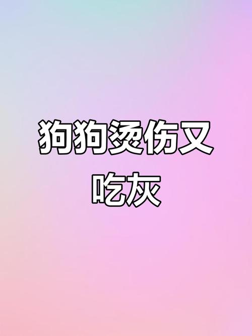 经常给狗狗吃太烫的食物会怎么样?