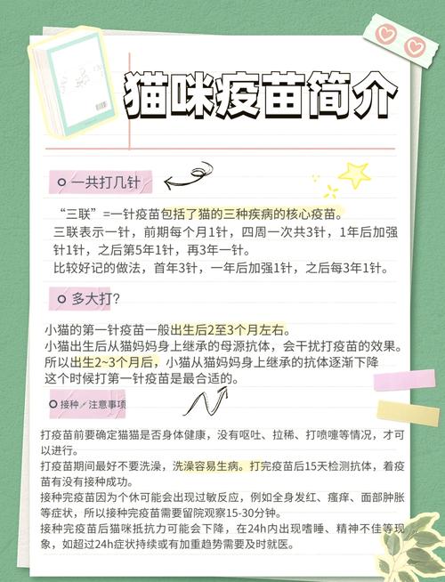 猫咪一直不接种猫三联会怎样?