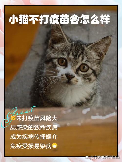 家里养的猫不打疫苗行吗?