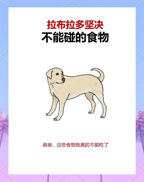 狗狗除了日常的吃喝拉撒之外,每天都在想什么?