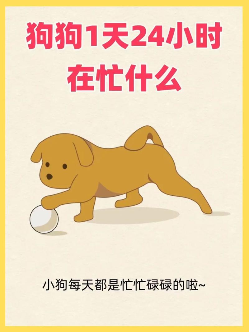 狗狗每天在想什么