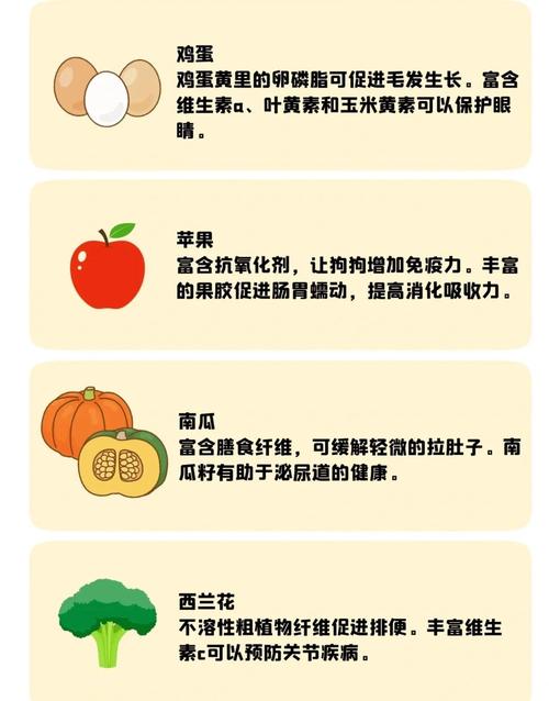 狗狗可以吃什么油