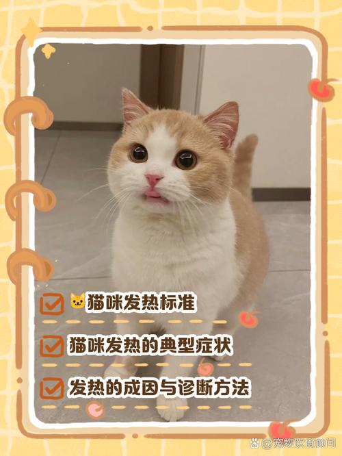 猫咪发烧最明显的症状是什么
