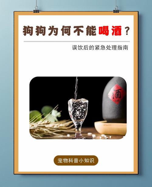 为什么狗狗不宜喝冰镇啤酒?