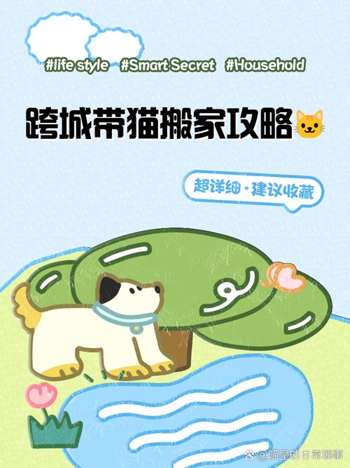 高铁猫咪怎么托运