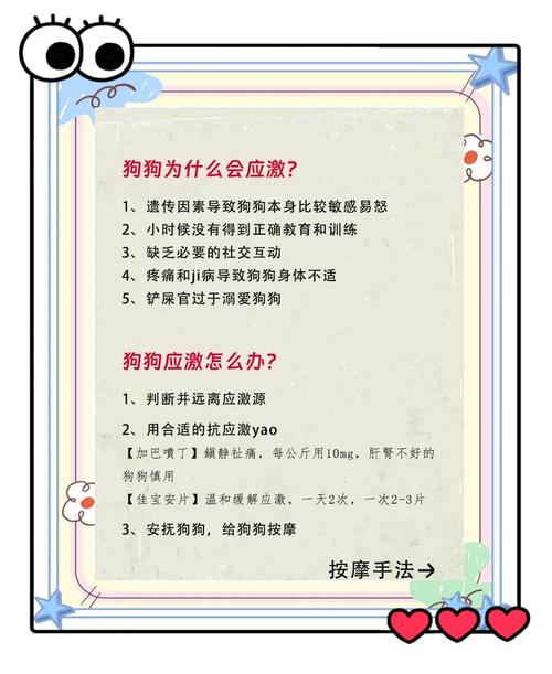 狗狗极度恐惧的表现