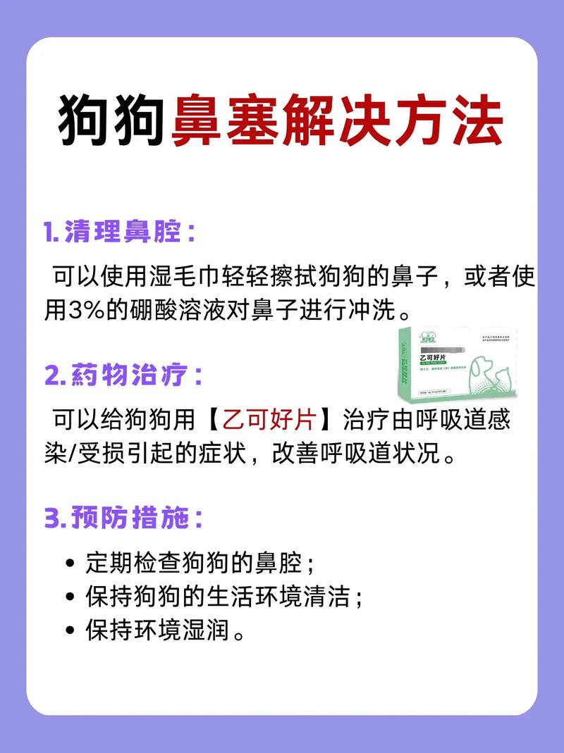 狗狗鼻子堵了不通气怎么办?