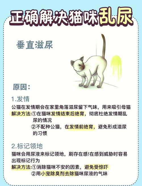 猫咪突然乱拉乱尿怎么办