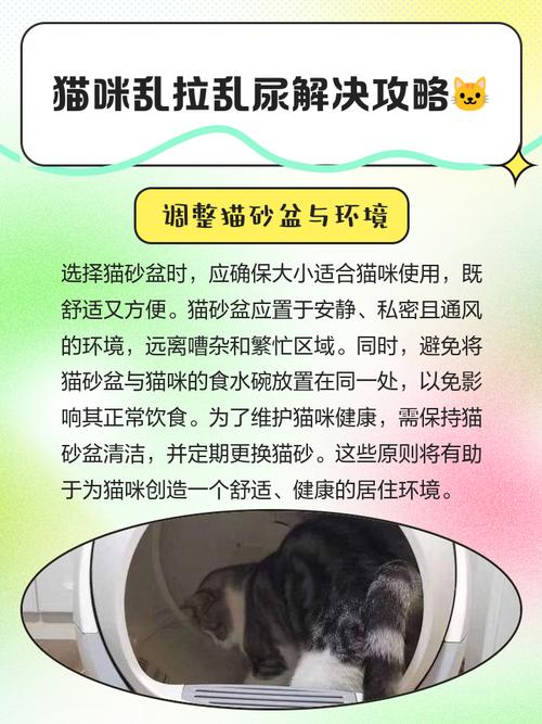 猫咪到处乱尿乱拉该怎么办?