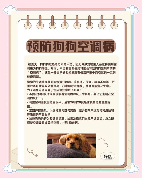 刚刚出生的小狗狗可以吹空调吗?