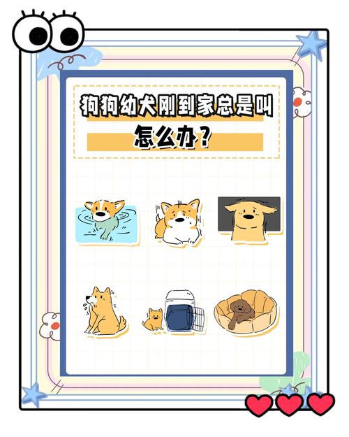 小狗刚到家一直叫怎么办?