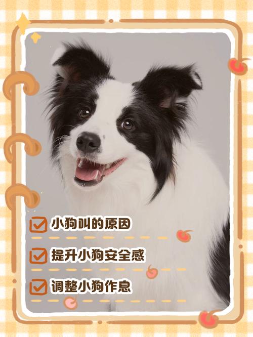 刚到家的狗狗老是叫怎么办?