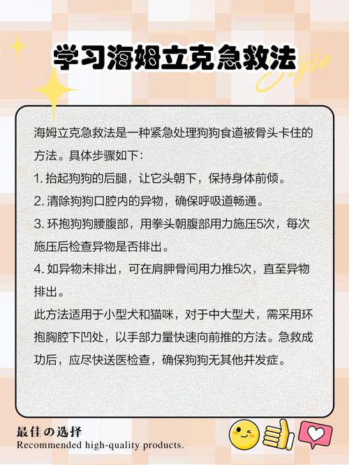 狗狗吃骨头卡住了怎么办