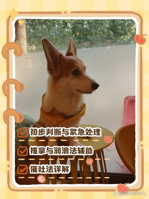 狗狗吃东西卡住了吐不出来怎么办