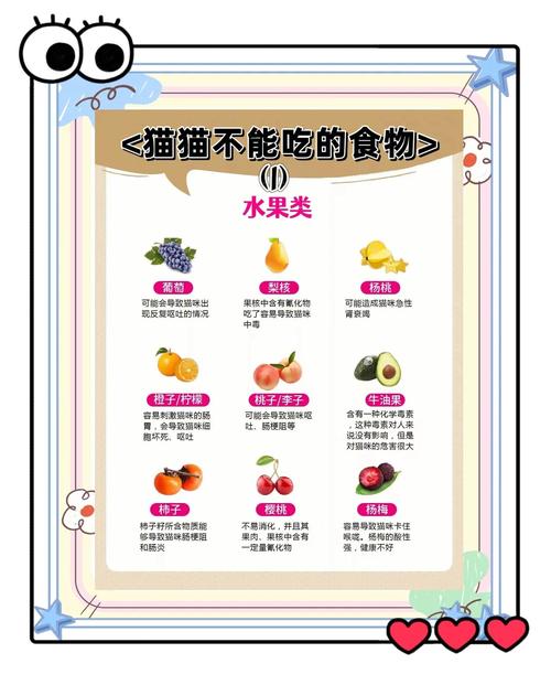 猫咪可不可以吃葵花籽?