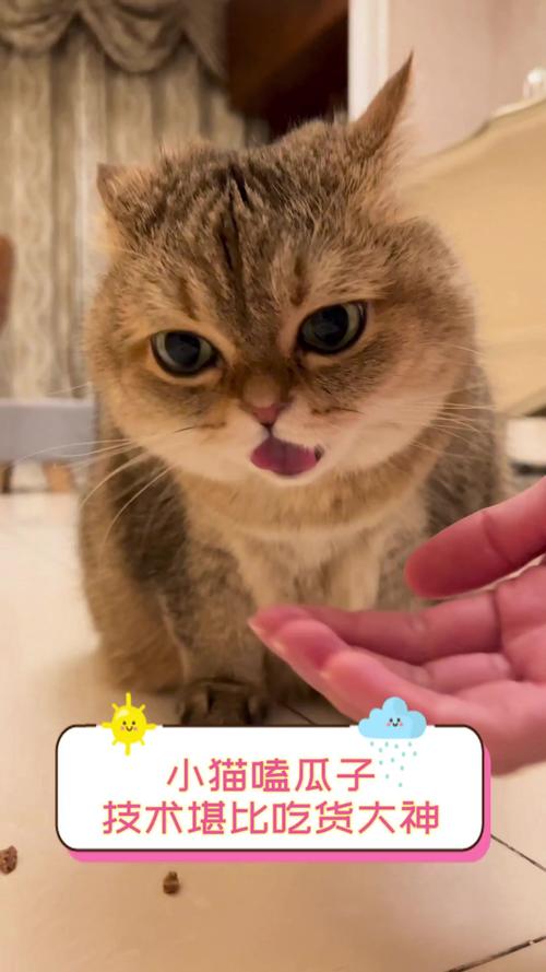 我们家的猫喜欢吃瓜子,为什么?