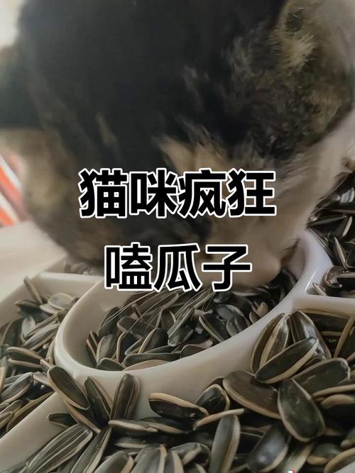 猫咪吃瓜子对身体有什么好处