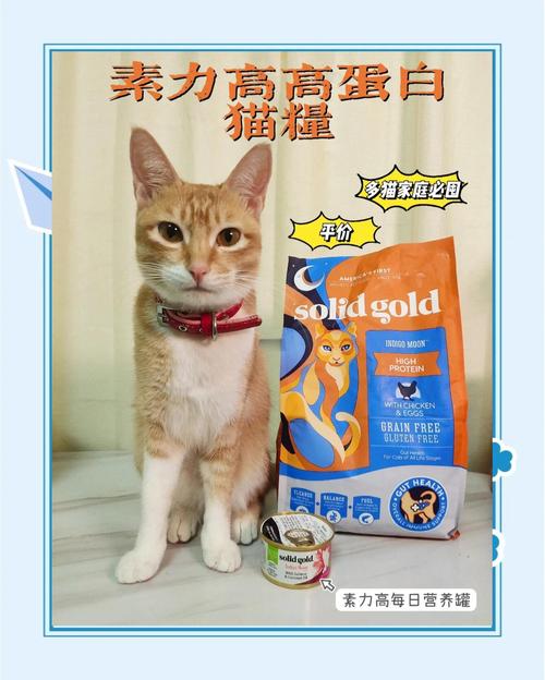 猫咪到底应该是以湿猫粮为主还是直接吃干粮?湿猫粮应该喂哪种比较...