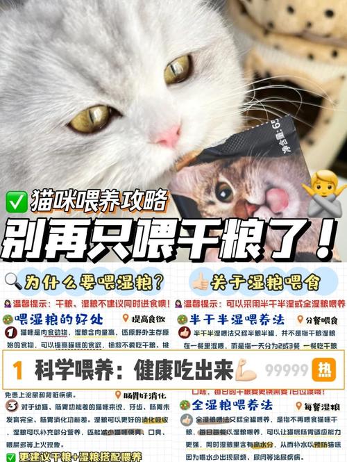 猫咪吃什么牌子的猫粮好,2025年猫粮推荐品牌10大排名!
