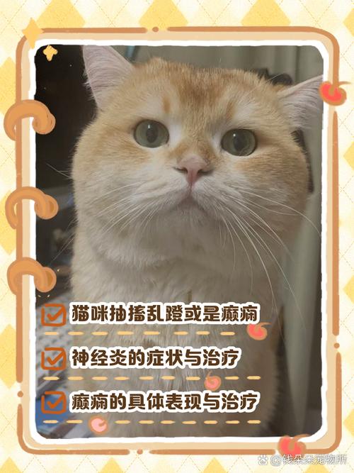 猫咪浑身抽搐腿乱蹬(猫咪间歇性抽搐尿失禁)