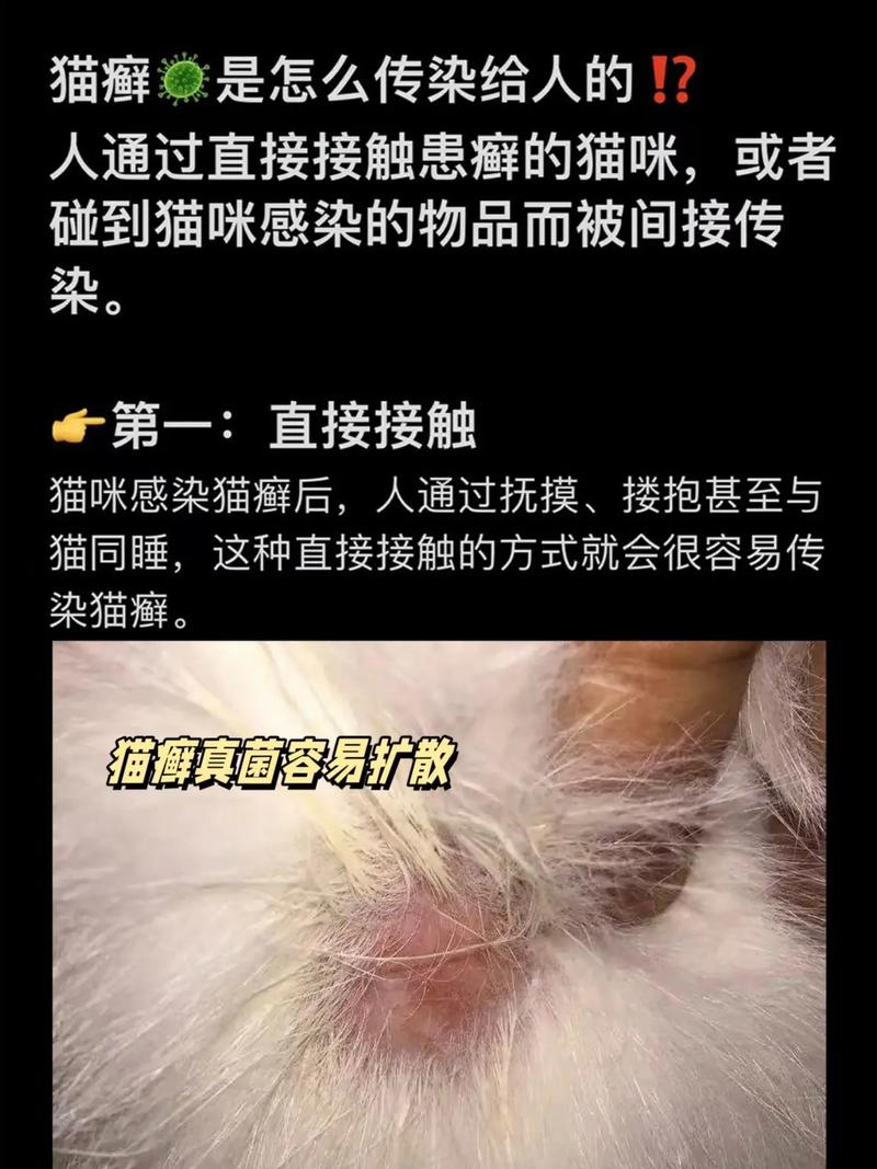 猫咪得了猫癣能洗澡吗