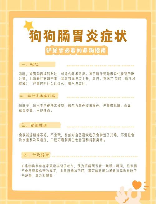 狗得了肠炎怎么办