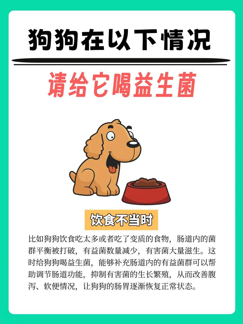 狗狗拉稀吃益生菌管用吗