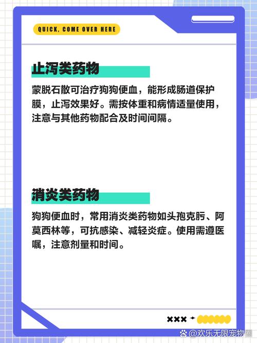 狗狗拉肚子吃什么药最有效