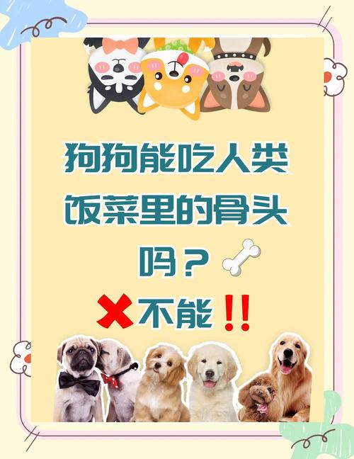 狗狗吞了鸡鸭骨头怎么办?