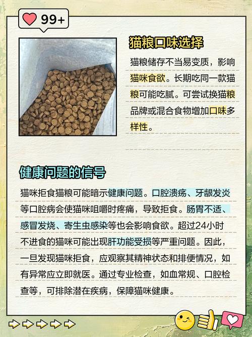 猫咪为什么不能吃盐?