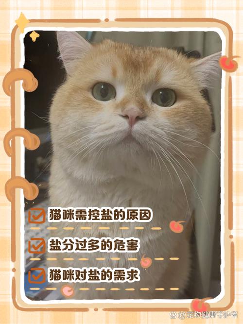 猫为什么不能吃盐