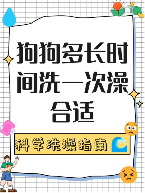 小狗出生多少天可以洗澡