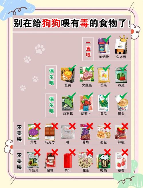 狗狗吃了有毒食物怎么办?