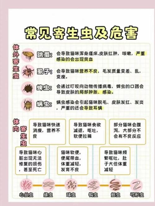 猫的体内虫会传染人吗