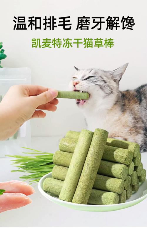 猫多大可以开始吃磨牙棒?