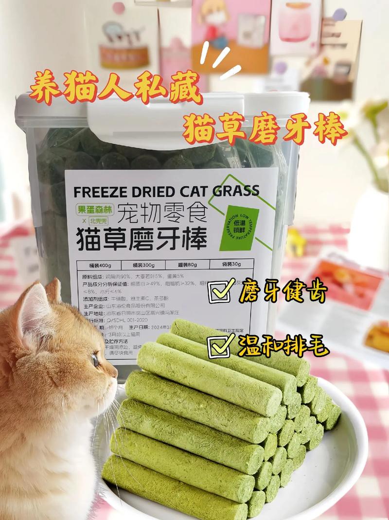 小猫需要磨牙棒吗