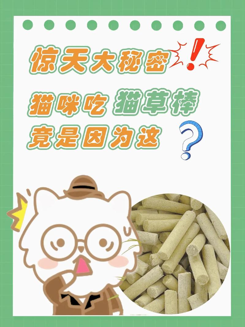 小奶猫长牙要磨牙棒吗