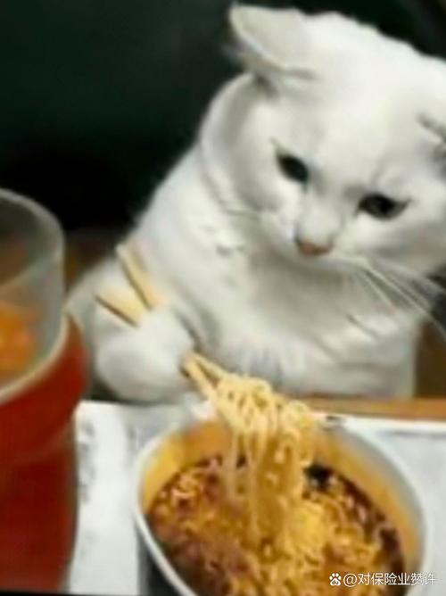 猫咪为什么爱吃方便